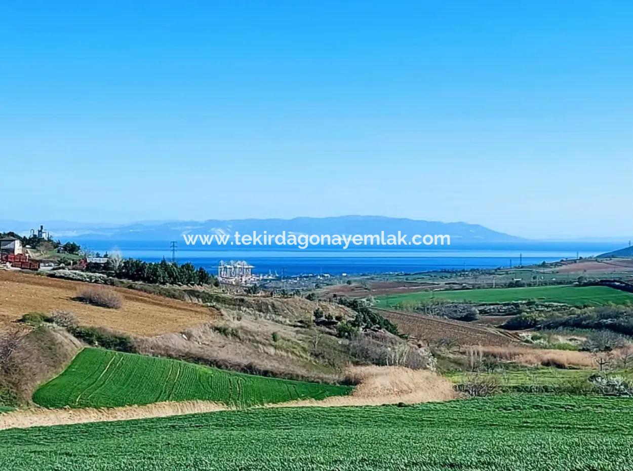 Land For Sale In 19,500 Square Meters Of Commercial And Industrial Area In Nusuratlı Area Of Tekirdağ