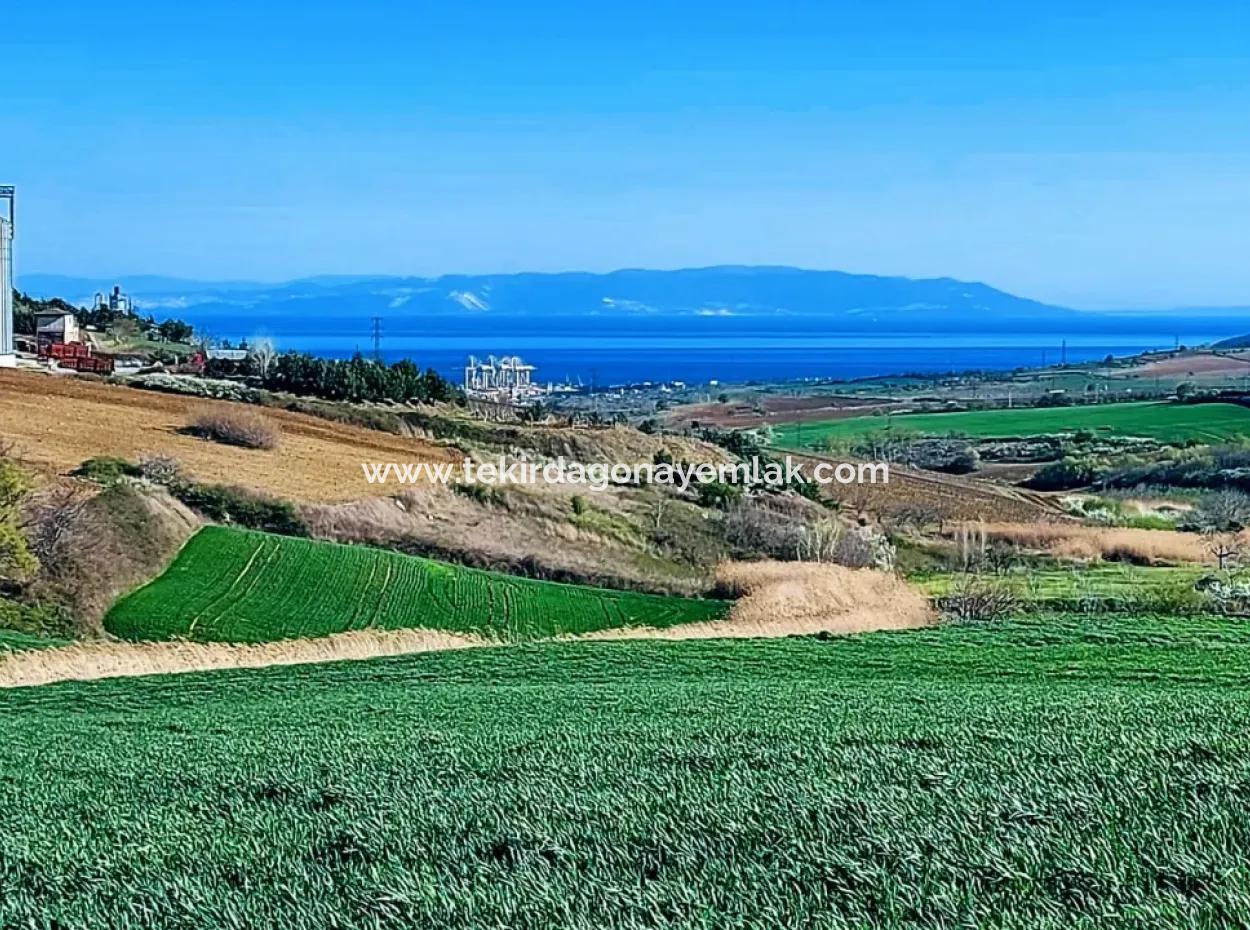 Land For Sale In 19,500 Square Meters Of Commercial And Industrial Area In Nusuratlı Area Of Tekirdağ