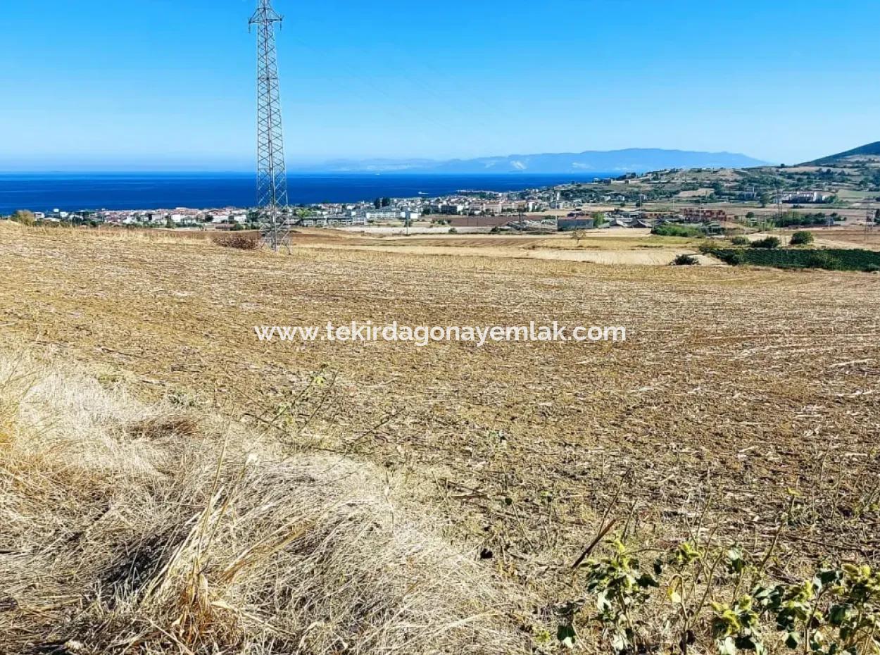 The 21,900 M2 Plot Located In Tekirdağ Barbaros Is Located Within The Current Zoning Plan Of Asyaport Port