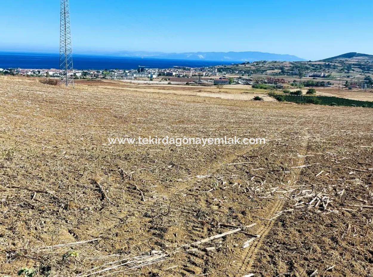 The 21,900 M2 Plot Located In Tekirdağ Barbaros Is Located Within The Current Zoning Plan Of Asyaport Port