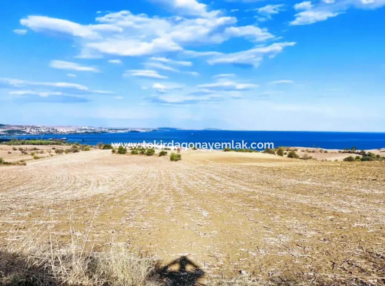 Investment Opportunity In Tekirdag Barbaros! Detached Villa Zoned 500 M2 Land