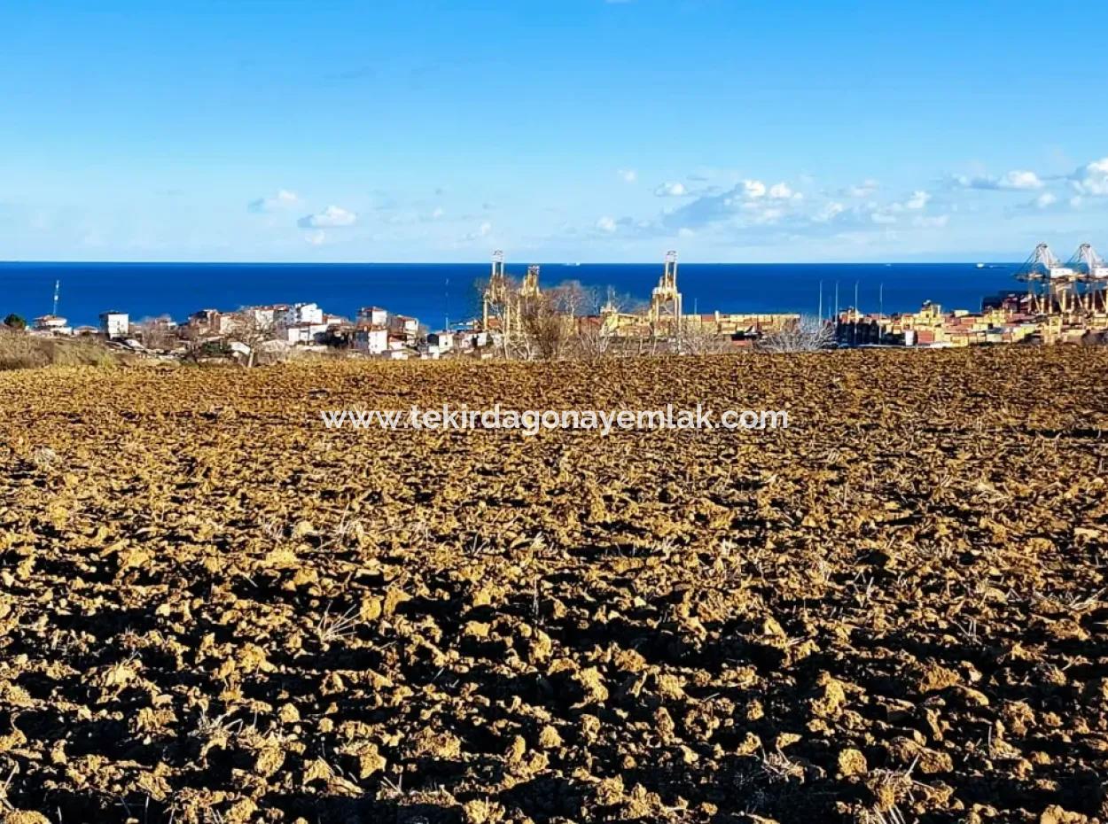 17.100 M2 Residential Zoned Field With Tremendous View, Close To Tekirdağ Barbaros Asyaport Port