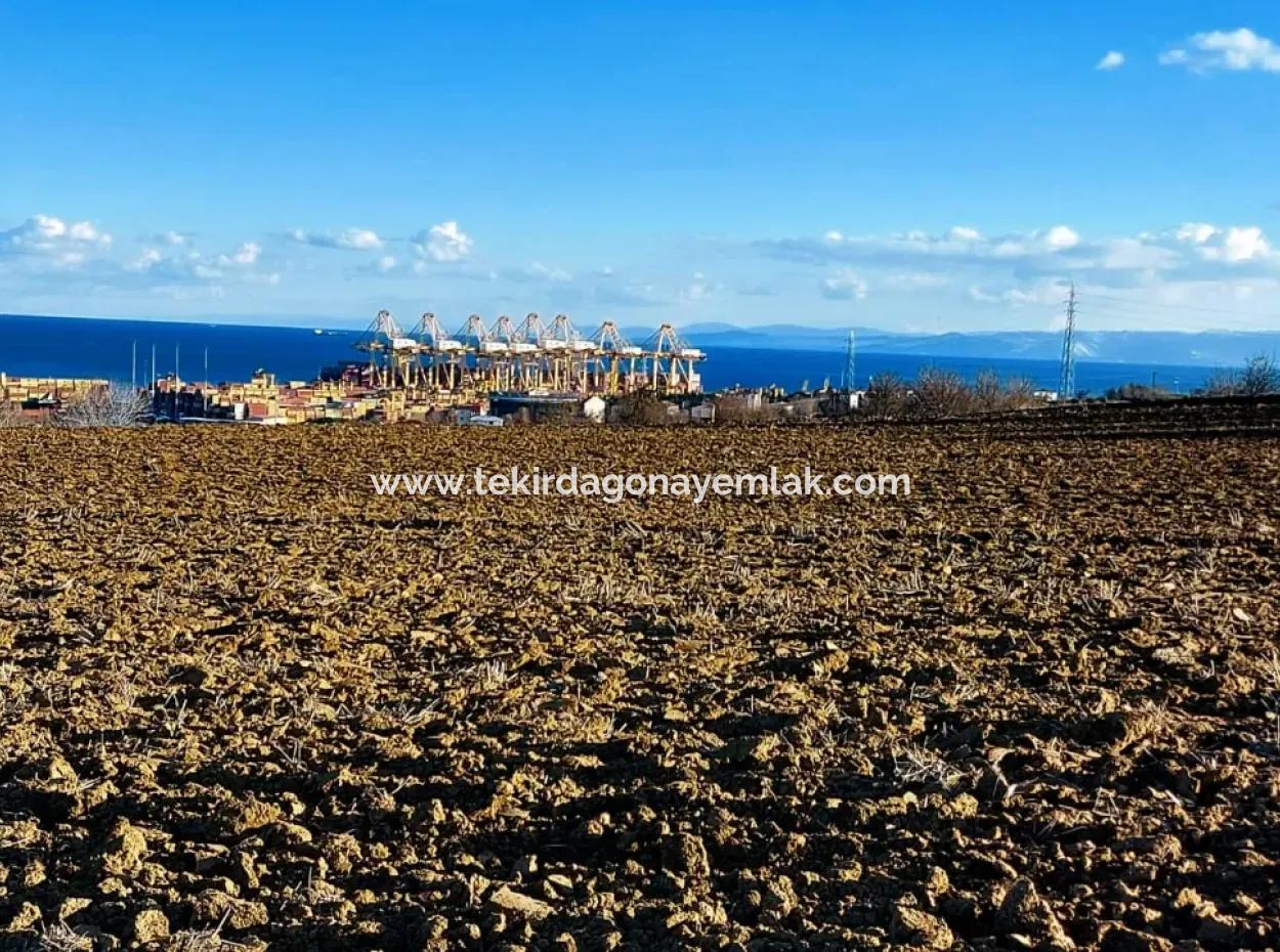17.100 M2 Residential Zoned Field With Tremendous View, Close To Tekirdağ Barbaros Asyaport Port