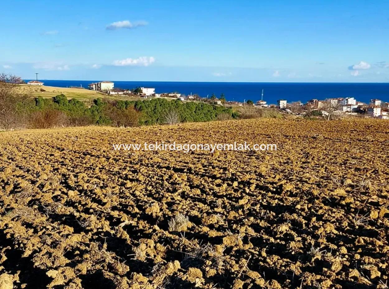 17.100 M2 Residential Zoned Field With Tremendous View, Close To Tekirdağ Barbaros Asyaport Port