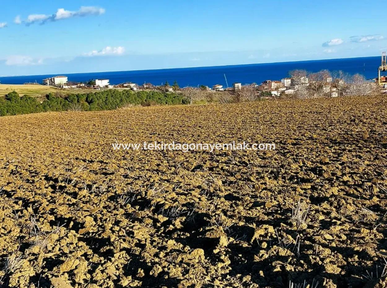 17.100 M2 Residential Zoned Field With Tremendous View, Close To Tekirdağ Barbaros Asyaport Port