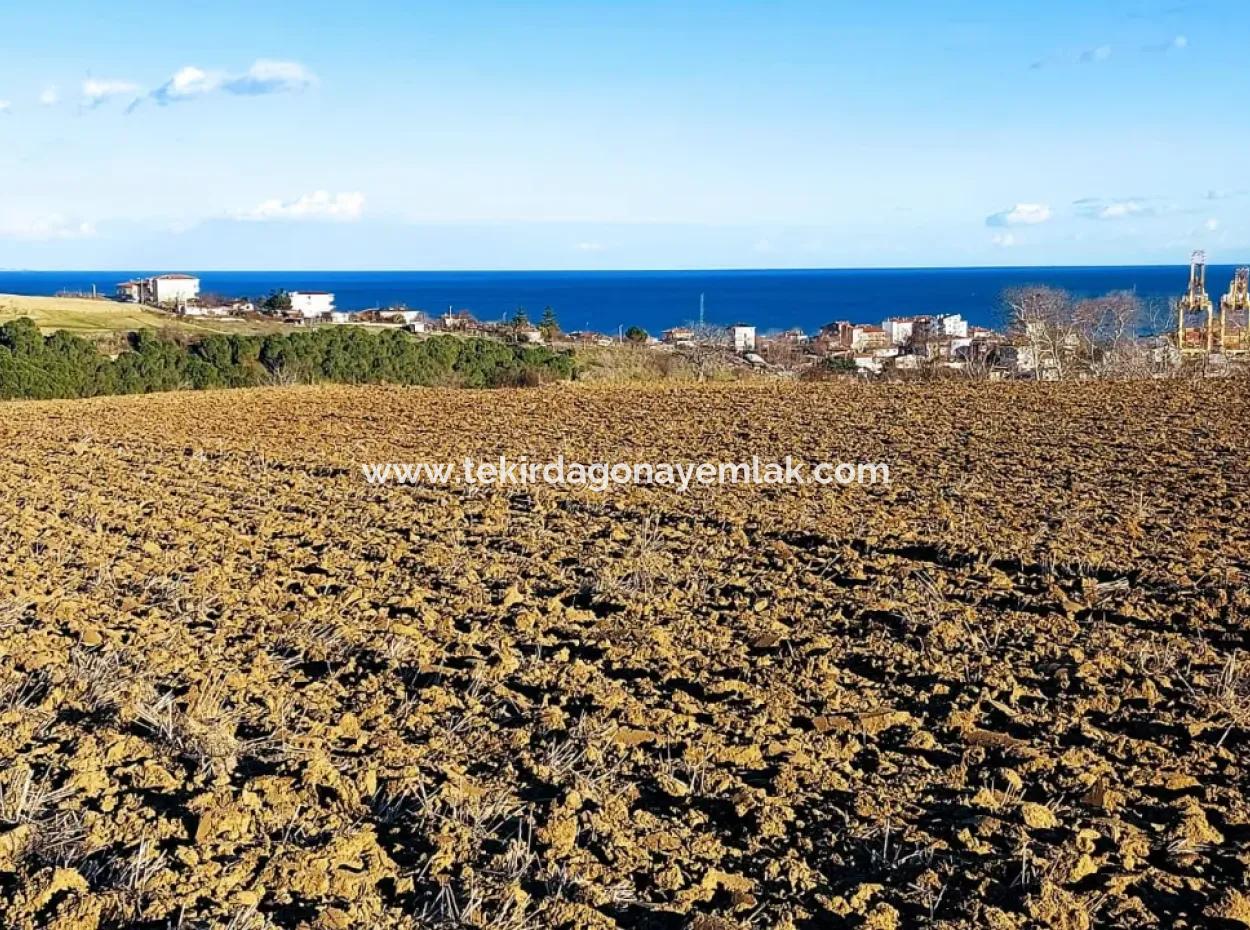 17.100 M2 Residential Zoned Field With Tremendous View, Close To Tekirdağ Barbaros Asyaport Port