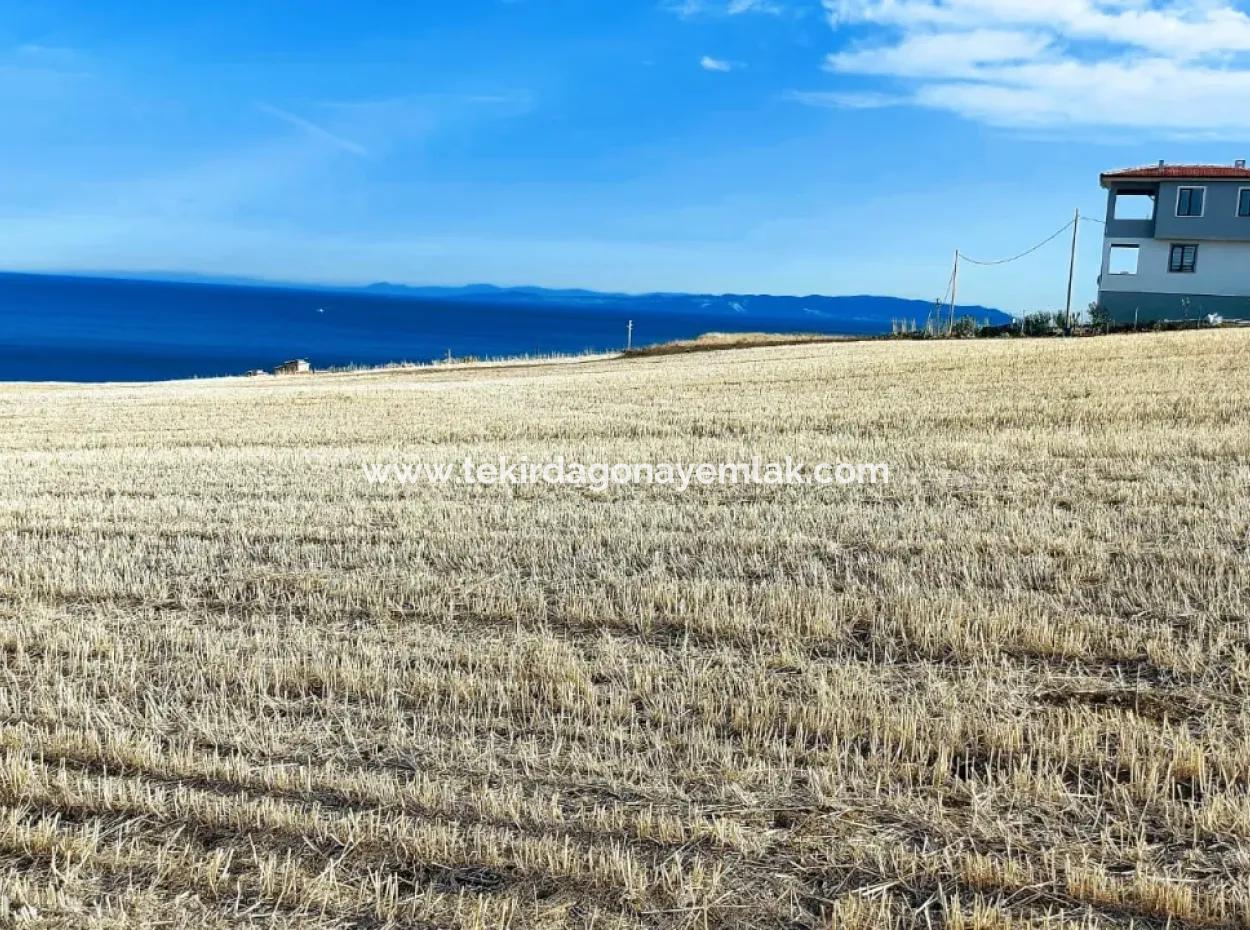Full Sea And Nature View Land For Emergency Sale In Barbaros, Tekirdag
