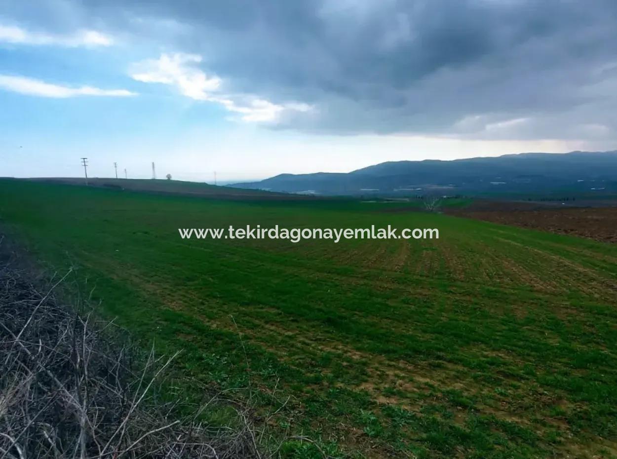 Commercial And Industrial Area Investment Opportunity Within The Current Zoning Plan Of Asyaport Port In Tekirdağ Barbaros Region