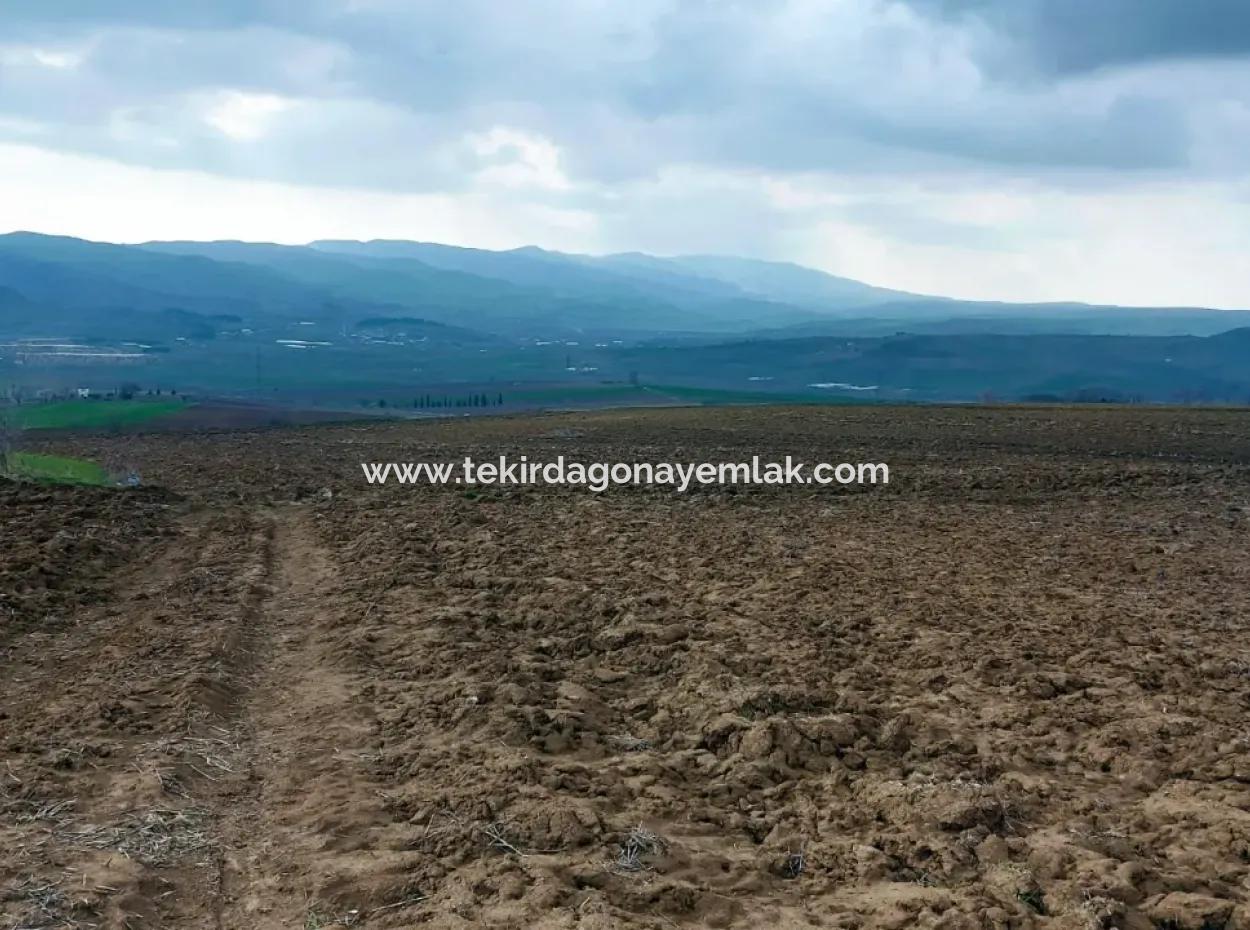 Commercial And Industrial Area Investment Opportunity Within The Current Zoning Plan Of Asyaport Port In Tekirdağ Barbaros Region