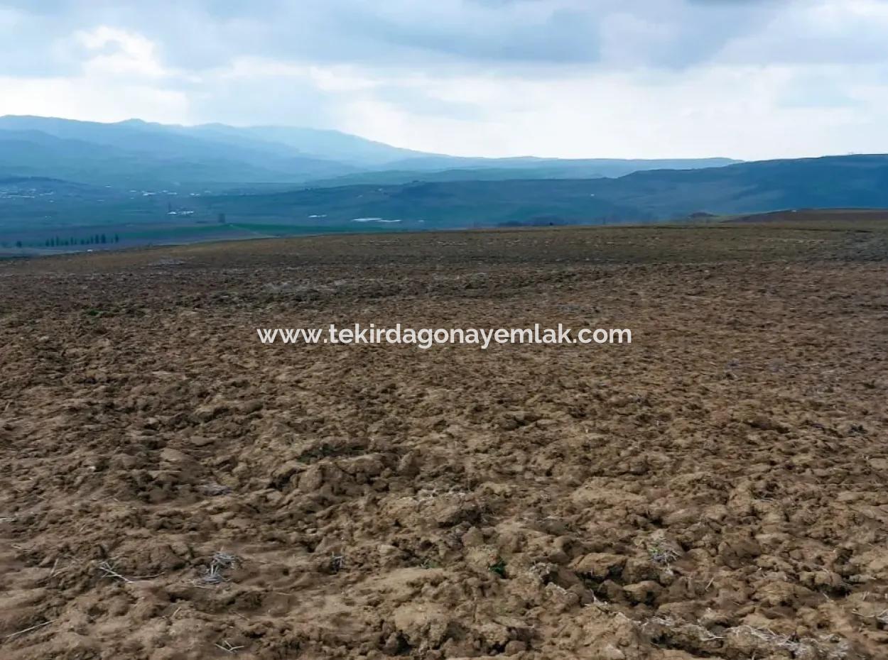 Commercial And Industrial Area Investment Opportunity Within The Current Zoning Plan Of Asyaport Port In Tekirdağ Barbaros Region