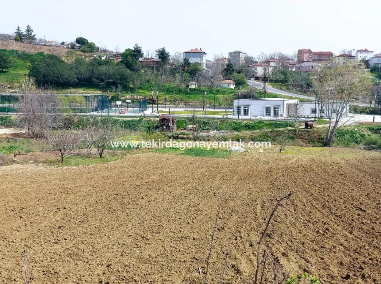 Very Close To Asyaport Port High Profit Guaranteed Residential Zoned Place