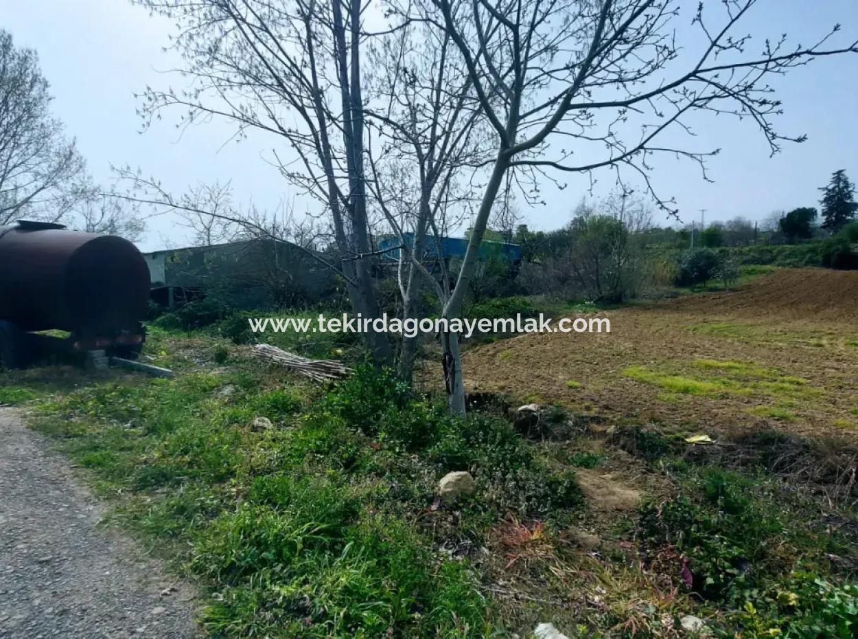 Very Close To Asyaport Port High Profit Guaranteed Residential Zoned Place