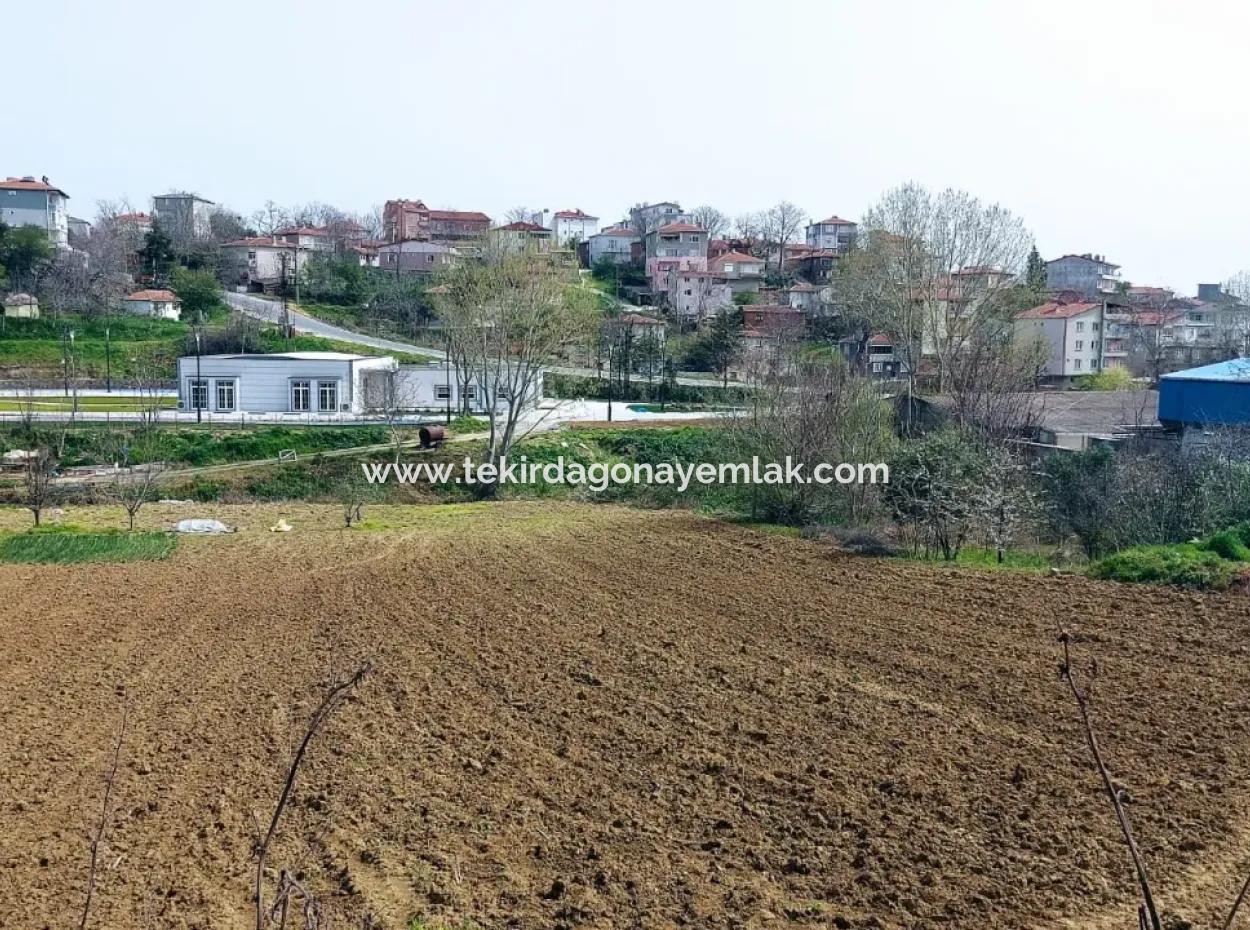 Very Close To Asyaport Port High Profit Guaranteed Residential Zoned Place