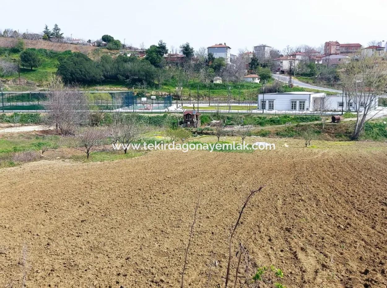 Very Close To Asyaport Port High Profit Guaranteed Residential Zoned Place