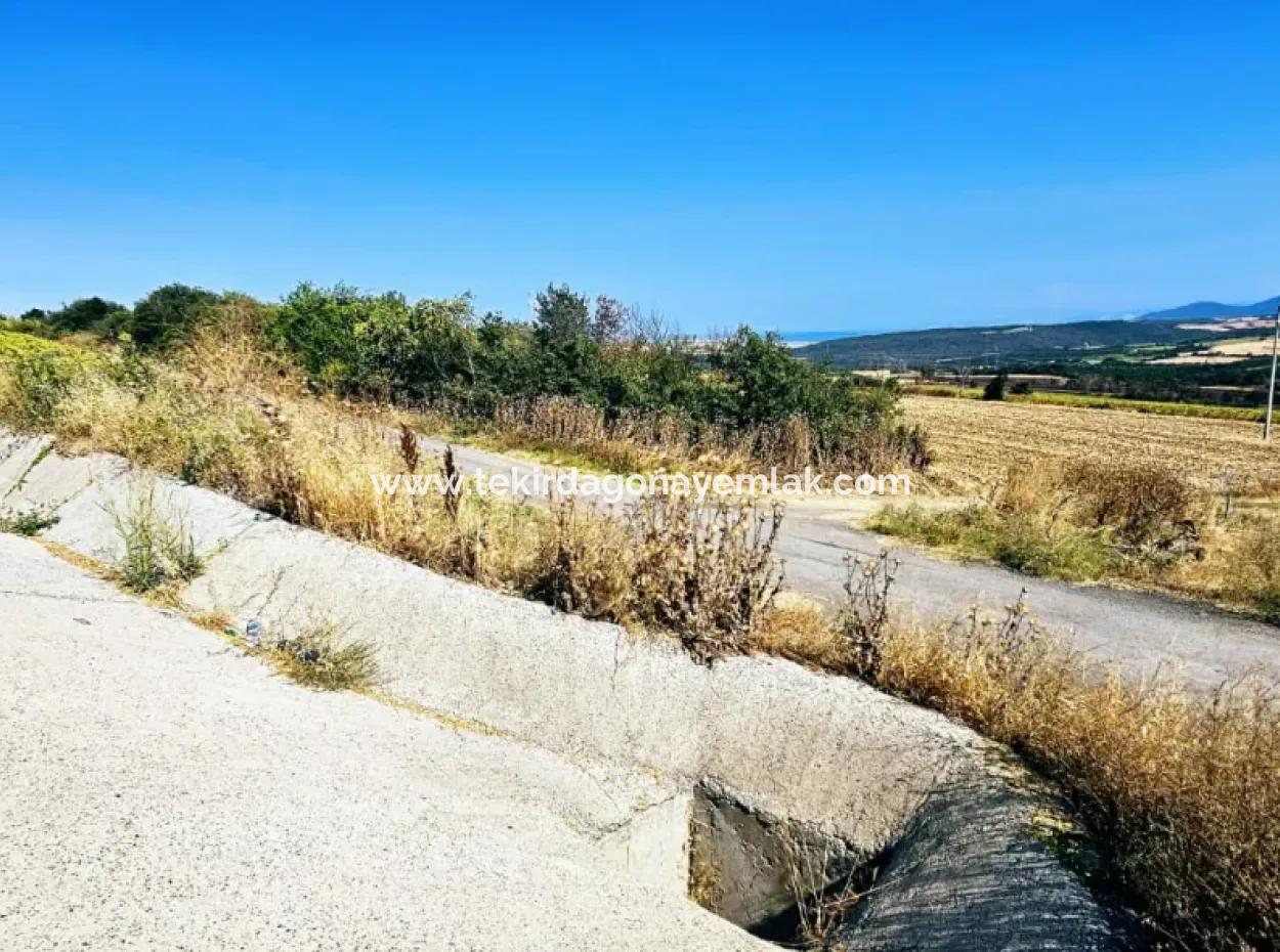 Tekirdağ Aşağkiliçli Mah. 2.340 M2 Coupon Field For Urgent Sale Promising High Profits Suitable For Buy And Sell