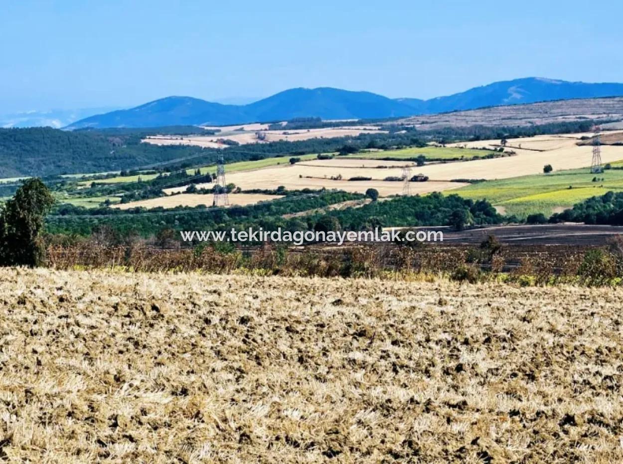 Tekirdağ Aşağkiliçli Mah. 2.340 M2 Coupon Field For Urgent Sale Promising High Profits Suitable For Buy And Sell