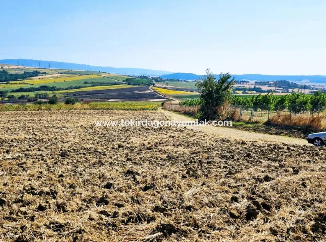 Tekirdağ Aşağkiliçli Mah. 2.340 M2 Coupon Field For Urgent Sale Promising High Profits Suitable For Buy And Sell