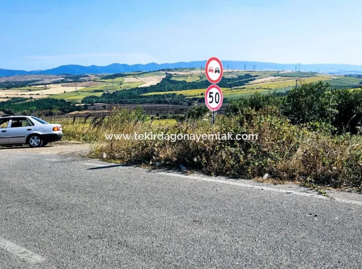 Tekirdağ Aşağkiliçli Mah. 2.340 M2 Coupon Field For Urgent Sale Promising High Profits Suitable For Buy And Sell