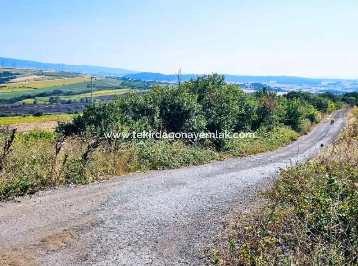 Tekirdağ Aşağkiliçli Mah. 2.340 M2 Coupon Field For Urgent Sale Promising High Profits Suitable For Buy And Sell