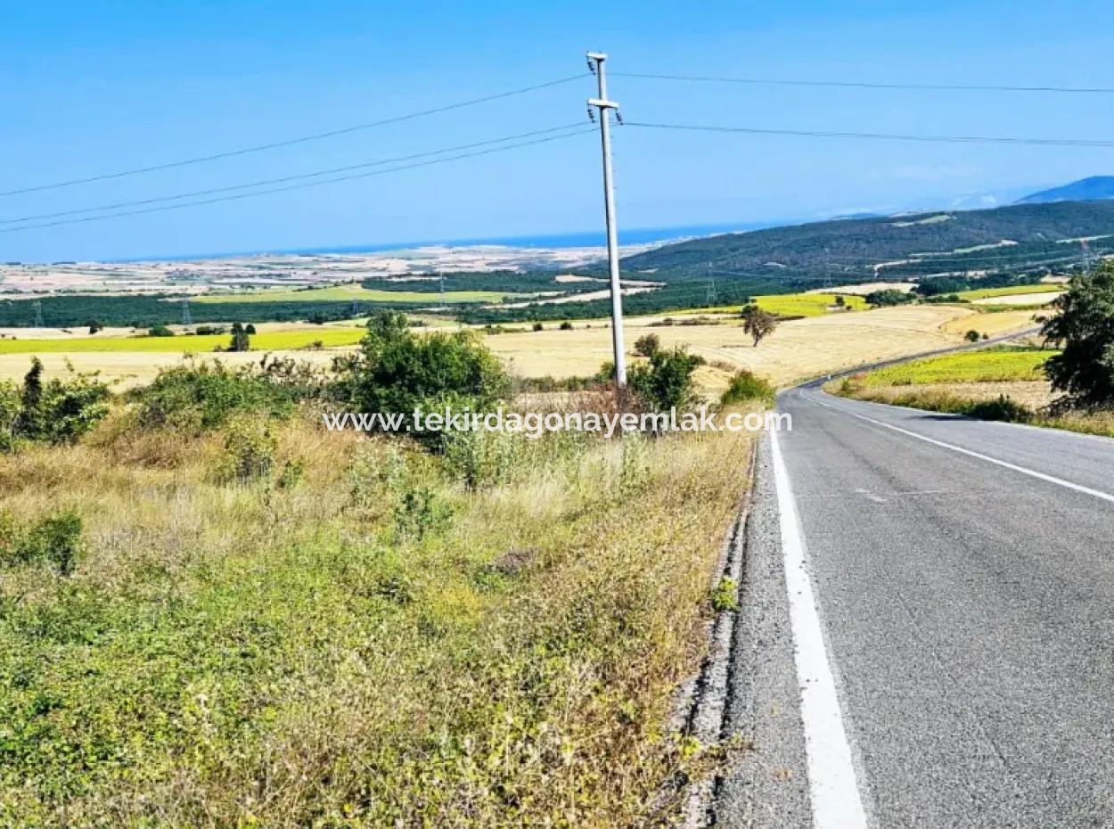 Tekirdağ Aşağkiliçli Mah. 2.340 M2 Coupon Field For Urgent Sale Promising High Profits Suitable For Buy And Sell