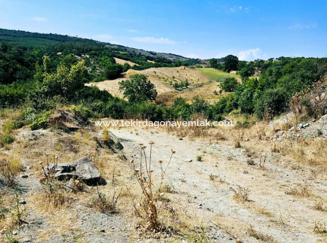 Kelep Kopon Field For Urgent Sale For Those Who Want To Make A Profitable Investment In Tekirdag Çanakçi Neighborhood