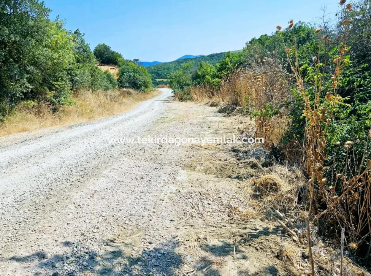 Kelep Kopon Field For Urgent Sale For Those Who Want To Make A Profitable Investment In Tekirdag Çanakçi Neighborhood