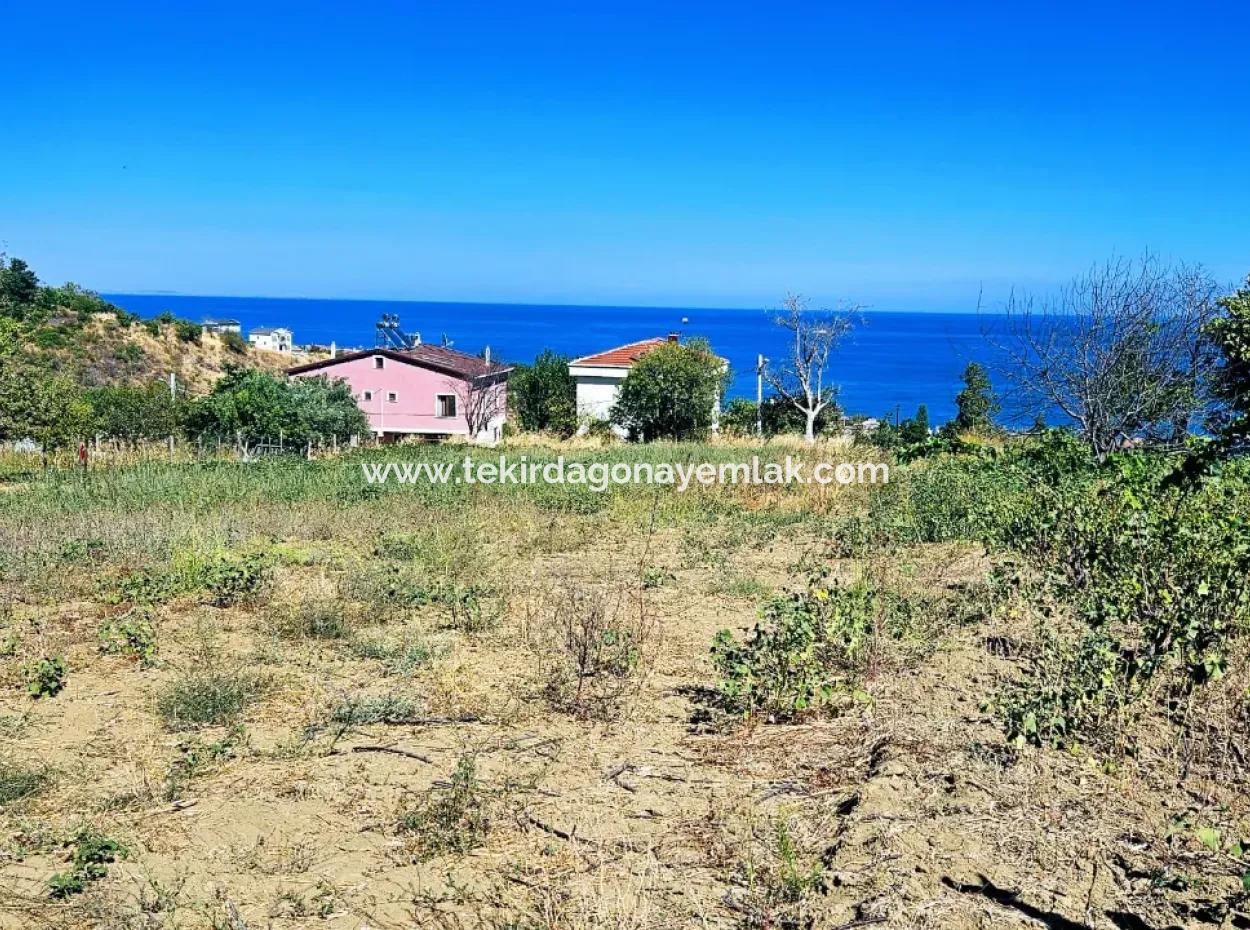 An Unmissable Opportunity For Those Looking For A Place For Urgent Sale 4 Side Road Façade Investment In Tekirdag Barbarosta