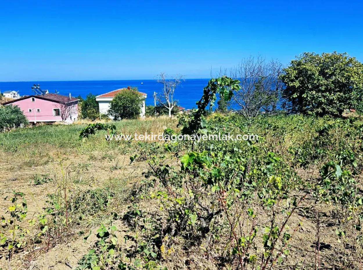 An Unmissable Opportunity For Those Looking For A Place For Urgent Sale 4 Side Road Façade Investment In Tekirdag Barbarosta