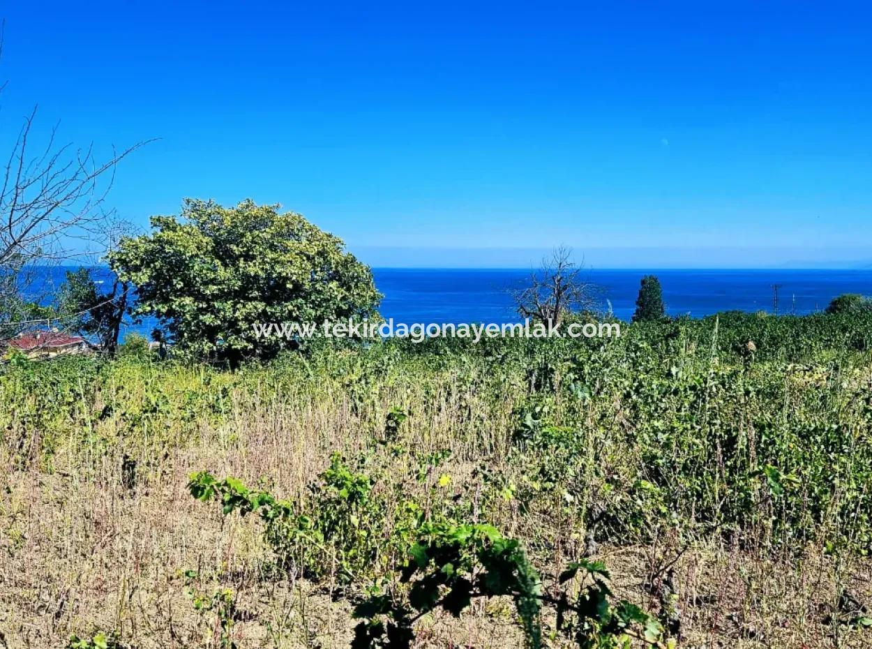 An Unmissable Opportunity For Those Looking For A Place For Urgent Sale 4 Side Road Façade Investment In Tekirdag Barbarosta