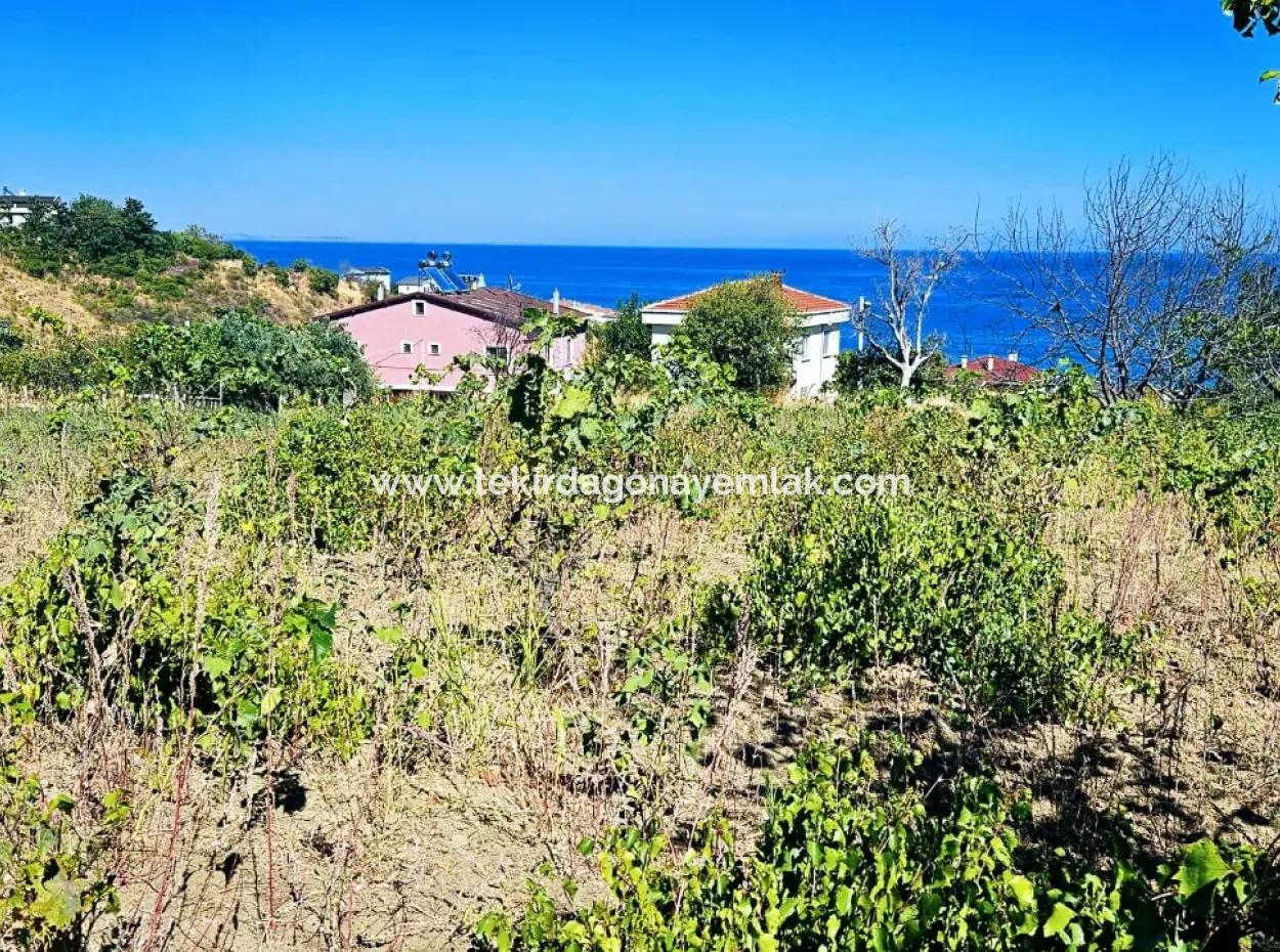 An Unmissable Opportunity For Those Looking For A Place For Urgent Sale 4 Side Road Façade Investment In Tekirdag Barbarosta