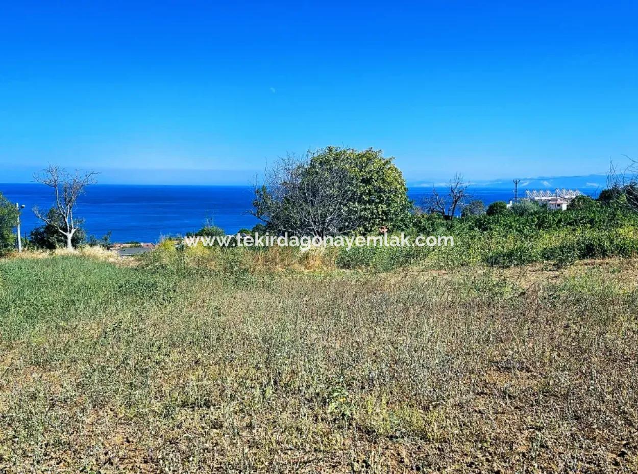 An Unmissable Opportunity For Those Looking For A Place For Urgent Sale 4 Side Road Façade Investment In Tekirdag Barbarosta