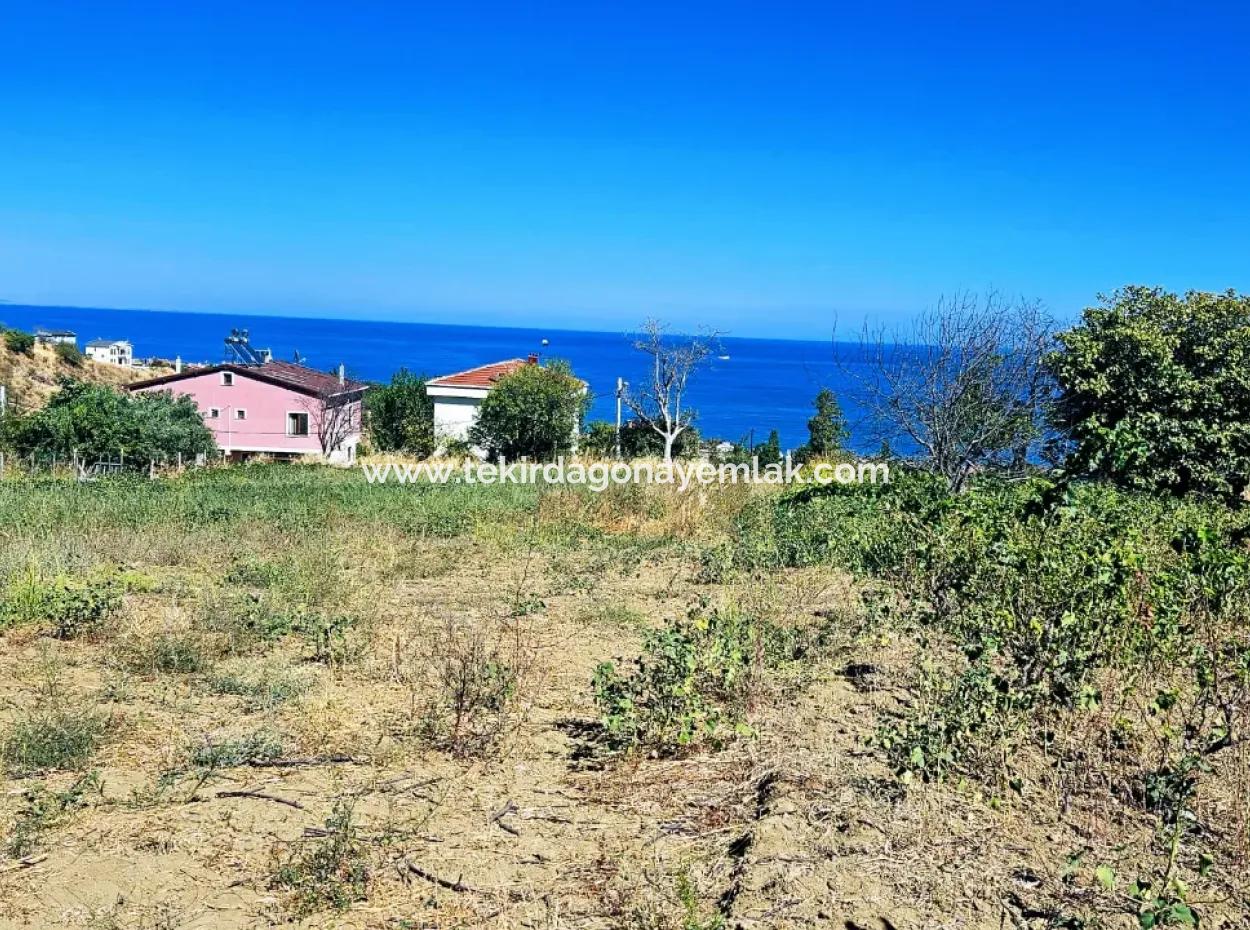 An Unmissable Opportunity For Those Looking For A Place For Urgent Sale 4 Side Road Façade Investment In Tekirdag Barbarosta
