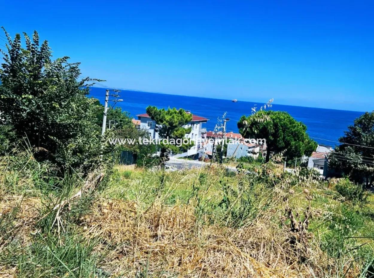 Tekirdag Barbarosta Urgent Sale Main Road Fronted Commercial Residential Zoning [ Adjacent Layout ] 85 Flats High Profit Guarantee