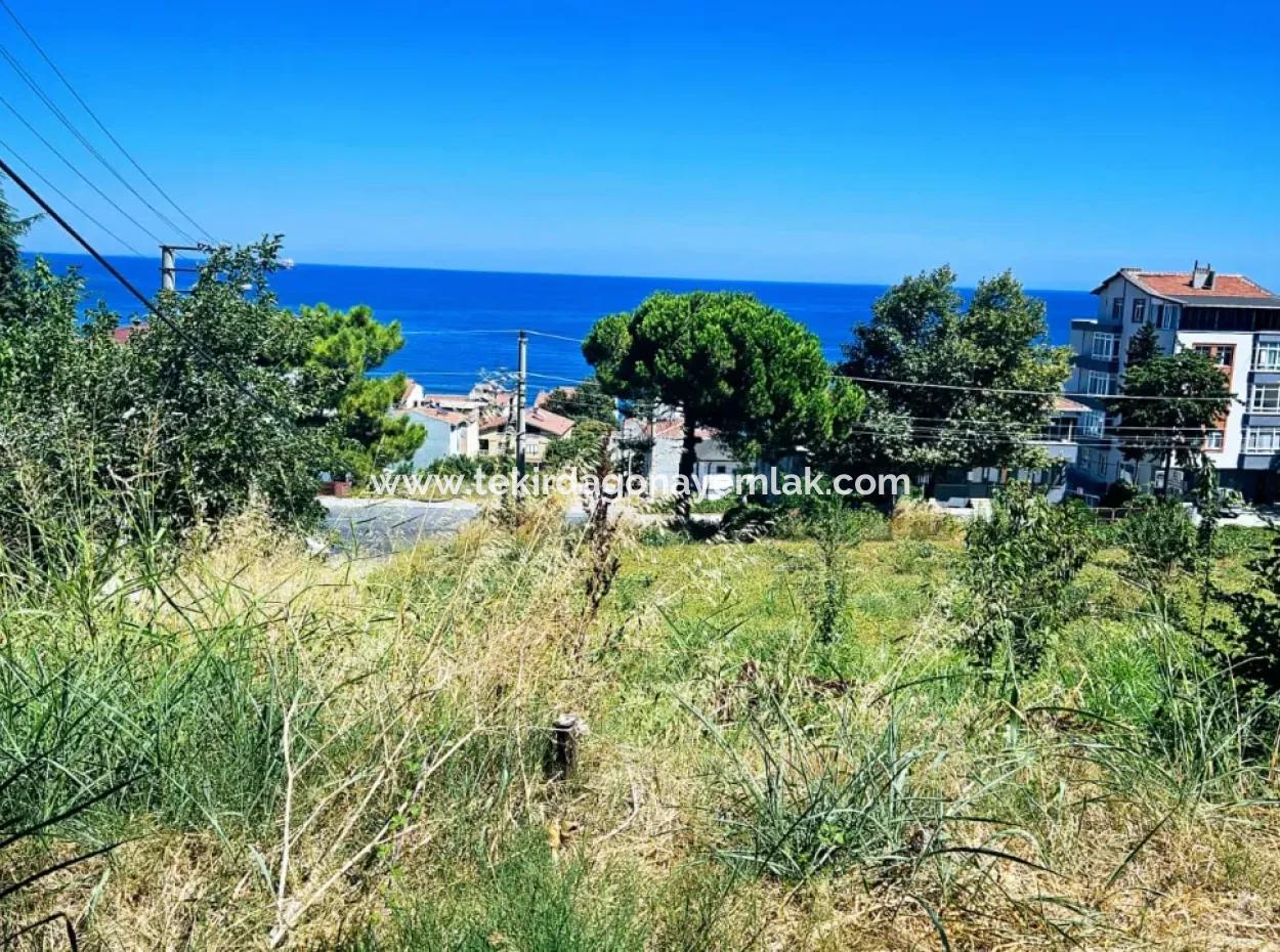 Tekirdag Barbarosta Urgent Sale Main Road Fronted Commercial Residential Zoning [ Adjacent Layout ] 85 Flats High Profit Guarantee