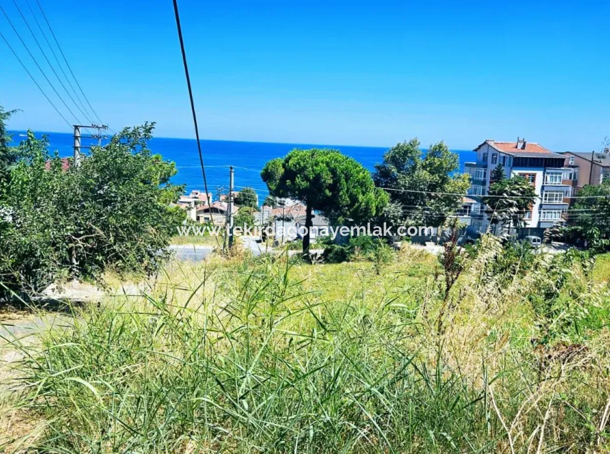 Tekirdag Barbarosta Urgent Sale Main Road Fronted Commercial Residential Zoning [ Adjacent Layout ] 85 Flats High Profit Guarantee
