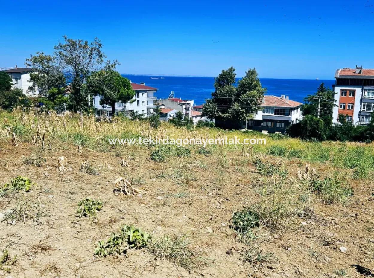 Tekirdag Barbarosta Urgent Sale Main Road Fronted Commercial Residential Zoning [ Adjacent Layout ] 85 Flats High Profit Guarantee