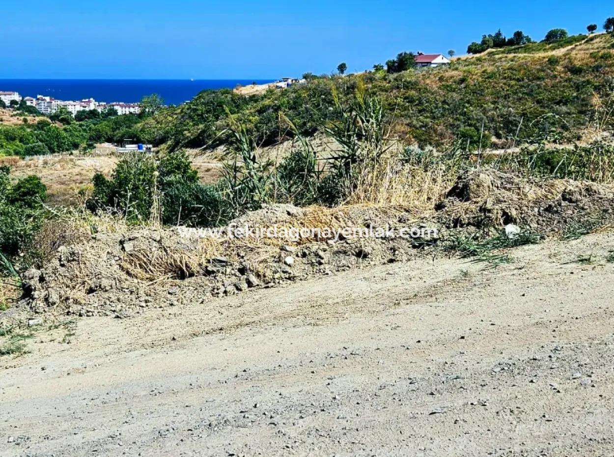 9.100 M2 Villa Zoned Field For Urgent Sale In Tekirdag Barbarosta