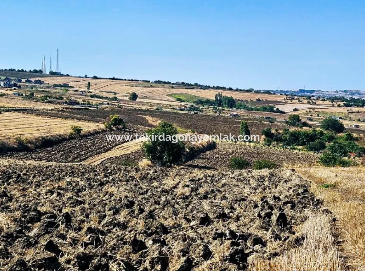 2.650 M2 Villa For Urgent Sale In Tekirdag Barbarosta Zoned Coupon Field Suitable For Investment