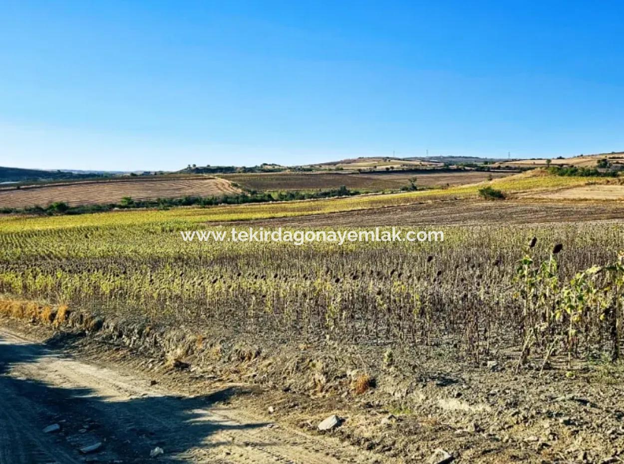 Asyaport Port Is An Unmissable Opportunity Land For Those Who Want To Invest Very Close To The Existing Zoning