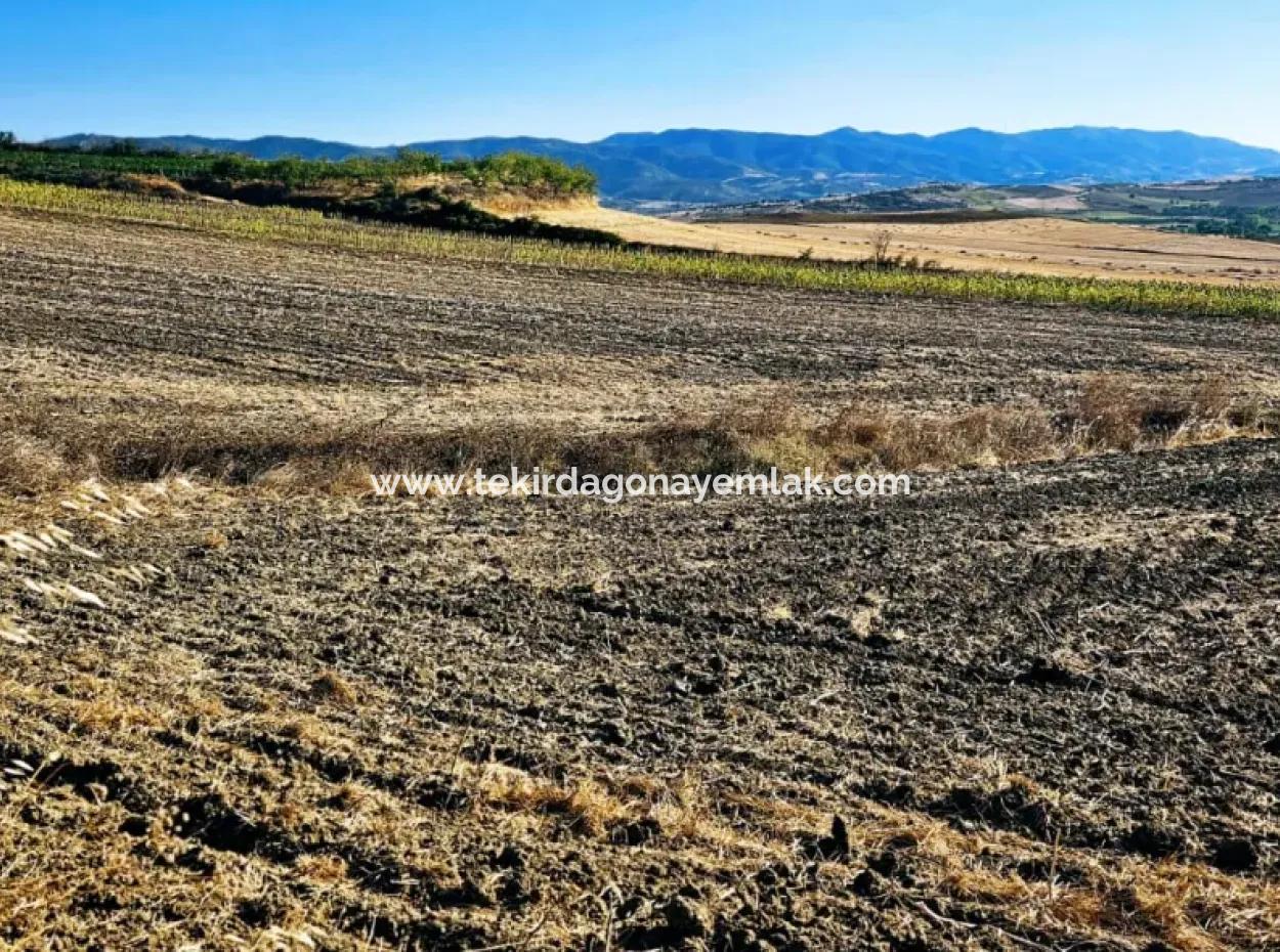 Asyaport Port Is An Unmissable Opportunity Land For Those Who Want To Invest Very Close To The Existing Zoning