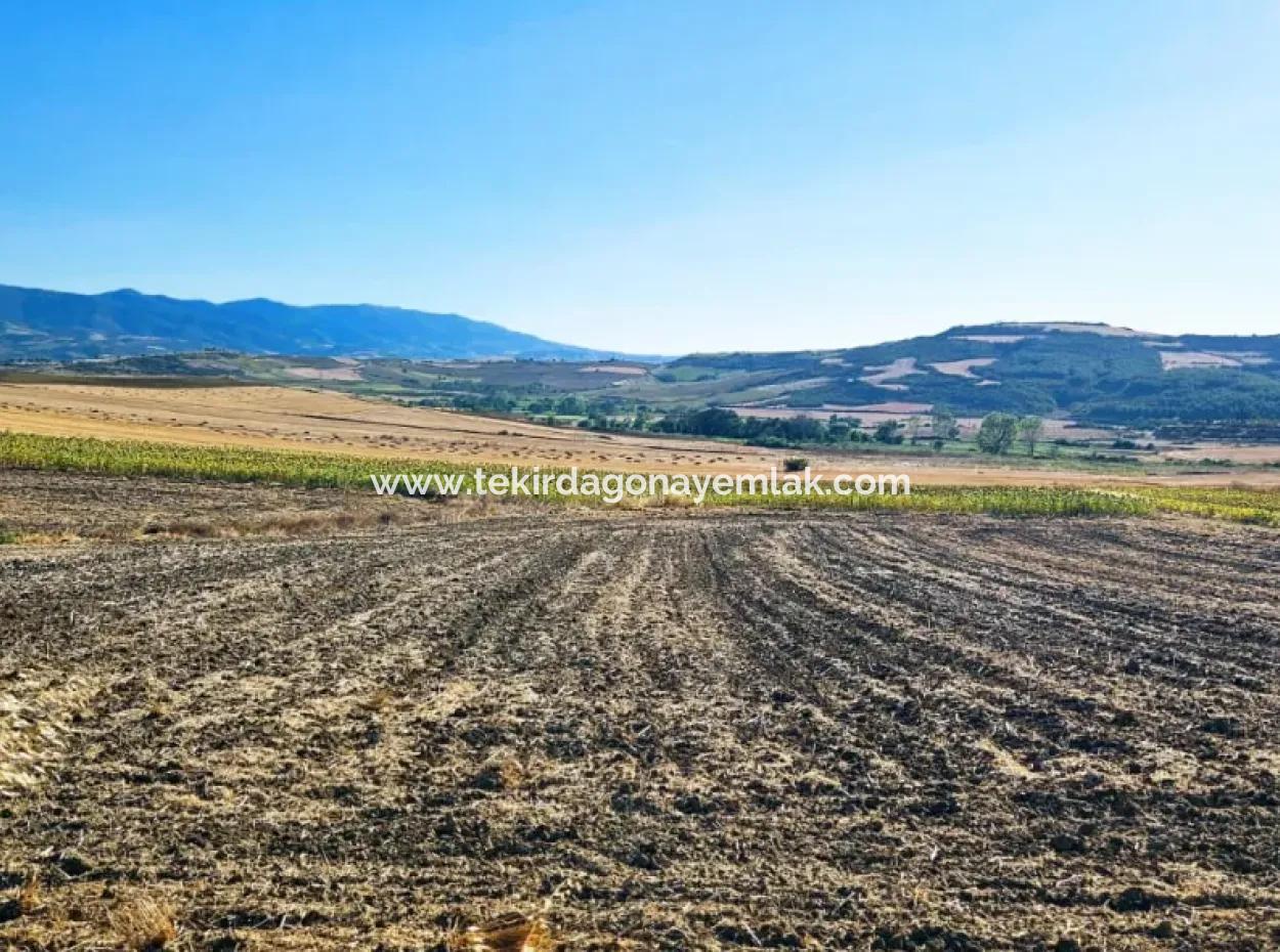 Asyaport Port Is An Unmissable Opportunity Land For Those Who Want To Invest Very Close To The Existing Zoning