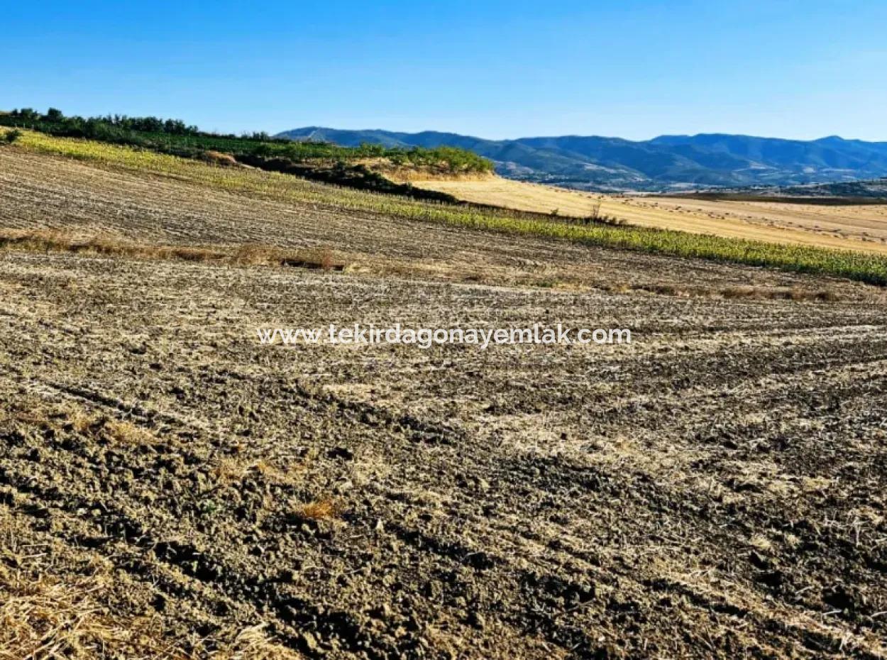 Asyaport Port Is An Unmissable Opportunity Land For Those Who Want To Invest Very Close To The Existing Zoning