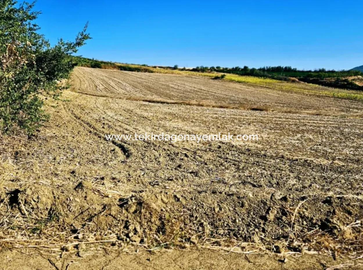 Asyaport Port Is An Unmissable Opportunity Land For Those Who Want To Invest Very Close To The Existing Zoning