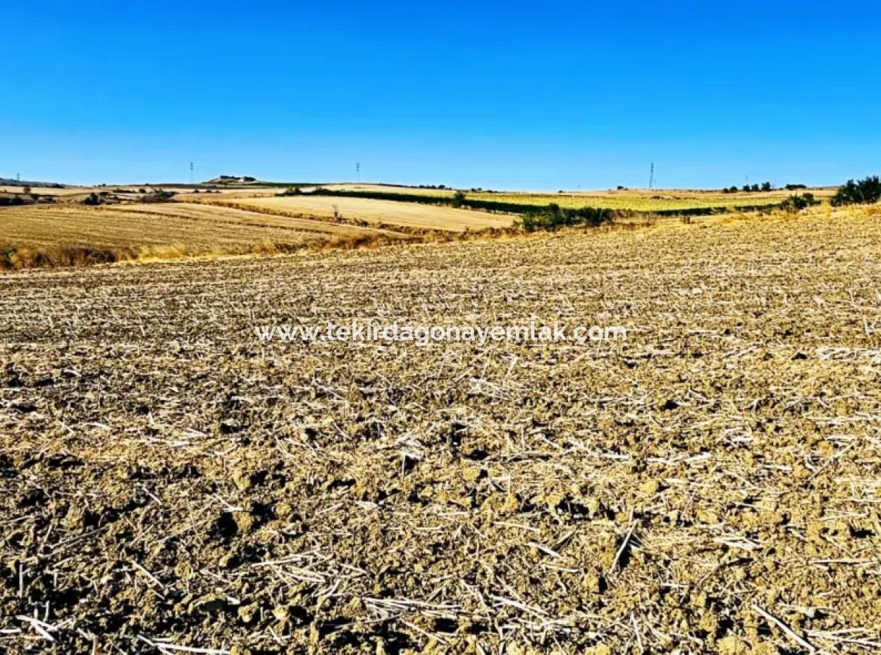 Asyaport Port Is An Unmissable Opportunity Land For Those Who Want To Invest Very Close To The Existing Zoning