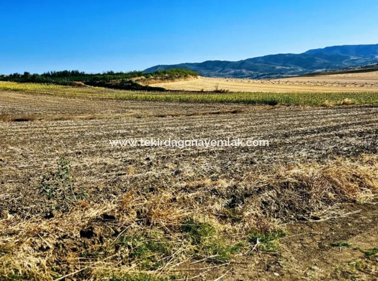 Asyaport Port Is Very Close To The Existing Zoning 17.350 M2 Bargain Investment Coupon Field For Urgent Sale