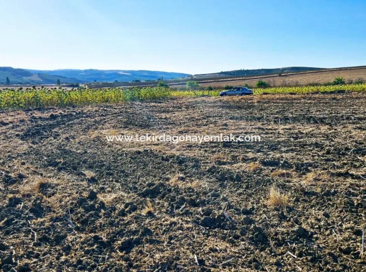 Asyaport Port Is Very Close To The Existing Zoning 17.350 M2 Bargain Investment Coupon Field For Urgent Sale