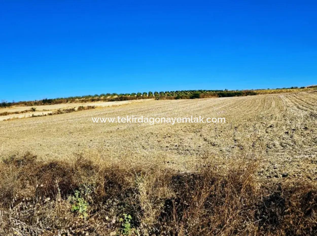 Asyaport Port Is Very Close To The Existing Zoning 17.350 M2 Bargain Investment Coupon Field For Urgent Sale