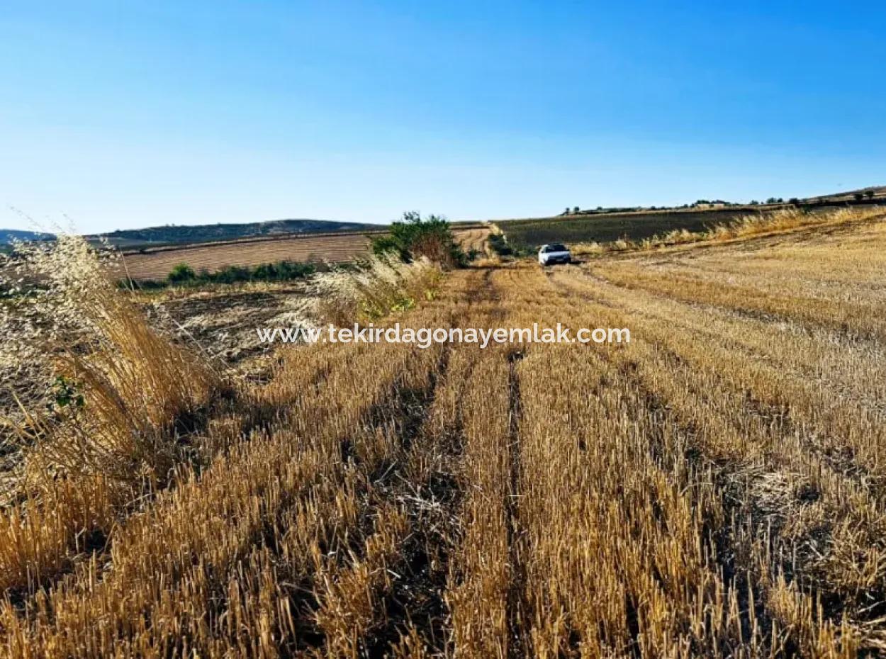 Asyaport Port Is Very Close To The Existing Zoning 17.350 M2 Bargain Investment Coupon Field For Urgent Sale