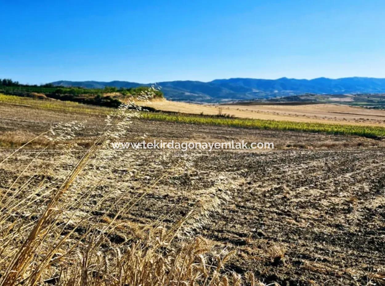 Asyaport Port Is Very Close To The Existing Zoning 17.350 M2 Bargain Investment Coupon Field For Urgent Sale