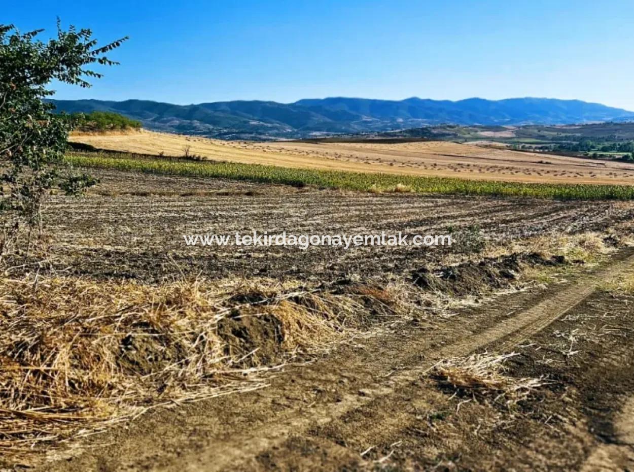 Asyaport Port Is Very Close To The Existing Zoning 17.350 M2 Bargain Investment Coupon Field For Urgent Sale